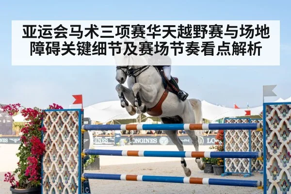 show jumping horse rider