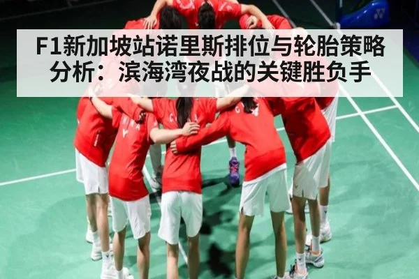 F1新加坡站诺里斯排位与轮胎策略分析：滨海湾夜战的关键胜负手